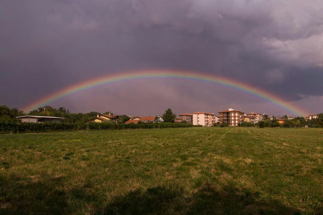 Temporale