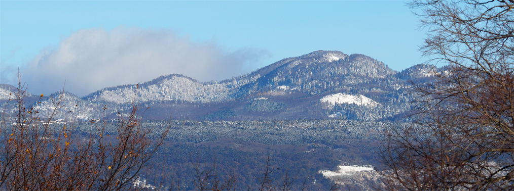 Selva di Tarnova panorama