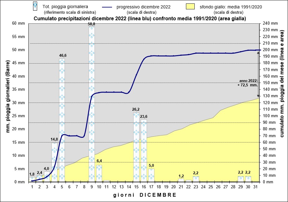 grafico piogge dicembre 2022