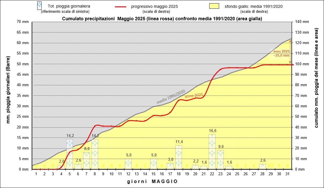 grafico piogge maggio 2025