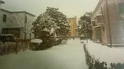 14 17 Gennaio 1985   - Gorizia-Straccis  02  14_17 Gennaio 1985   - Gorizia-Straccis  02.jpg