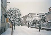 11 Gennaio 1987  - Gorizia-Castello  08  11 Gennaio 1987  - Gorizia-Castello  08.jpg