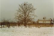 Inverno 1996-97