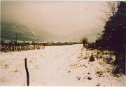 21 Febbraio 2005  - Gorizia-Zona Nord  08 : 0000