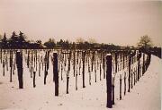 21 Febbraio 2005  - Gorizia-Zona Nord  09 : 0000