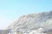 IM000727.JPG  30 dicembre 2005 - ore 11 circa Monte Calvario sud