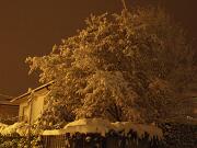 18-12-2010  ore 00-19   Loc. Piedimonte-Gorizia  12
