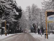 18-12-2010  ore 08-53   Loc. Gorizia  27