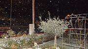07-12-2012  ore 21 00   Loc. Lucinico-Gorizia 01