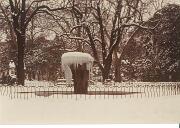 14 gennaio - Giardini pubblici Gorizia  14 gennaio - Giardini pubblici Gorizia.jpg