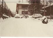 15 gennaioi Gorizia - via Aquileia 01  15 gennaioi Gorizia - via Aquileia 01.jpg