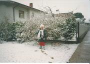 14 marzo 1996  ore 15 00m  - Gorizia-Piedimonte  03  14 marzo 1996  ore 15 00m  - Gorizia-Piedimonte  03.jpg