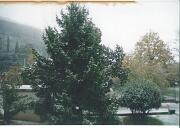 22 novembre 1999 Gorizia-Piedimonte  22 novembre 1999 Gorizia-Piedimonte.jpg