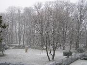 21 Febbraio 2005  ore 11 30 inizio nevicata - Gorizia-Piedimonte  01