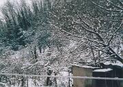 21 febbraio 2005 - Gorizia- Piedimonte