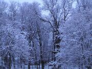 22 Febbraio 2005  ore 7 - Gorizia-Piedimonte  01