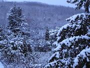 22 Febbraio 2005  ore 7 - Gorizia-Piedimonte  05