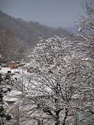 22 Febbraio 2005  ore 8 - Gorizia-Piedimonte  01