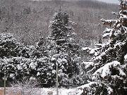 22 Febbraio 2005  ore 8 - Gorizia-Piedimonte  03