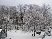 22 Febbraio 2005  ore 8 - Gorizia-Piedimonte  07