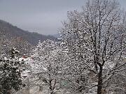 22 Febbraio 2005  ore 8 - Gorizia-Piedimonte  09