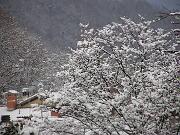 22 Febbraio 2005  ore 8 - Gorizia-Piedimonte  10