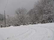 22 Febbraio 2005  ore 8 30 - Gorizia-Loc Groina  07