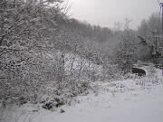 22 Febbraio 2005  ore 8 30 - Gorizia-Loc. Groina  03