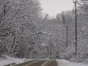 22 Febbraio 2005  ore 8 30 - Gorizia-Loc. Groina  04