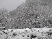 22 Febbraio 2005  ore 8 30 - Gorizia-Loc. Groina  06