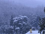 18 gennaio 2006  ore 7 50m  - Gorizia-Piedimonte   03