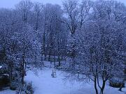 18 gennaio 2006  ore 7 50m  - Gorizia-Piedimonte   08