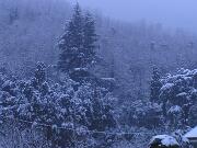 18 gennaio 2006  ore 7 50m  - Gorizia-Piedimonte   09