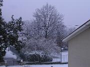 18 gennaio 2006  ore 7 50m  - Gorizia-Piedimonte   10