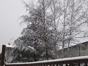 18 gennaio 2006  ore 8 45m  - Gorizia-via Aquileia   05