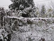 18 gennaio 2006  ore 8 45m  - Gorizia-via Aquileia   06