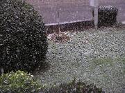 25 novembre 2005  ore 14 25m  - Gorizia-Piedimonte   03