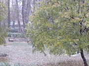 25 novembre 2005  ore 14 25m  - Gorizia-Piedimonte   04