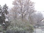 25 novembre 2005  ore 14 50m  - Gorizia-Via Aquileia   01