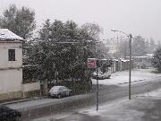 25 novembre 2005  ore 15 10m  - Gorizia-Via Aquileia   01