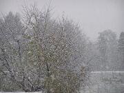 25 novembre 2005  ore 15 10m  - Gorizia-Via Aquileia   02