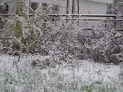 25 novembre 2005  ore 16 00m  - Gorizia-Via Aquileia   03