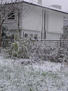 25 novembre 2005  ore 16 00m  - Gorizia-Via Aquileia   04