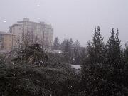 25 novembre 2005 - Gorizia - Centro  01