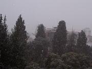 25 novembre 2005 - Gorizia - Centro  02