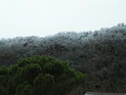 27 dicembre 2005  ore 10h 17mm - Gorizia-Piedimonte - 03