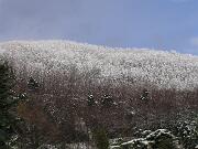 29 dicembre 2005  ore 10 20m  - Gorizia-Piedimonte  - 05