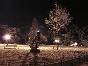 29 dicembre 2005  ore 23 45m  - Gorizia-Parco della Rimembranza  - 07