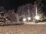 29 dicembre 2005  ore 23 45m  - Gorizia-Parco della Rimembranza  - 09