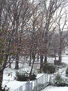 29 dicembre 2005  ore 9 20m - Gorizia-Piedimonte  - 02